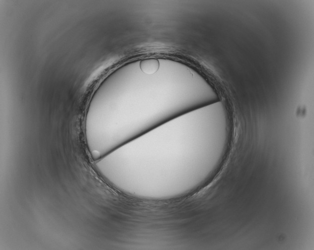 X0000111621309200907171054