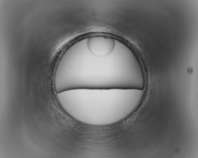 X0000111621311200907171054