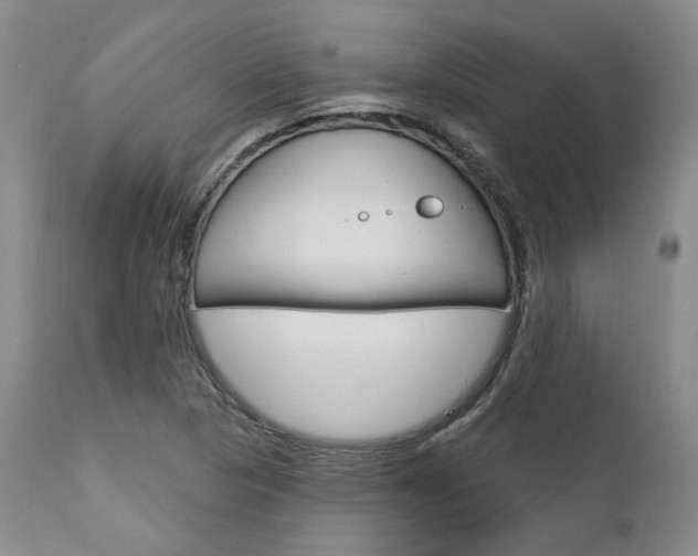 X0000111621313200907171054