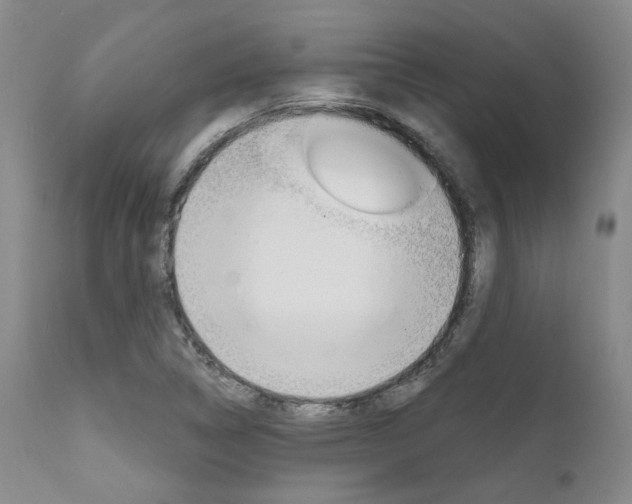 X0000111621314200907171054