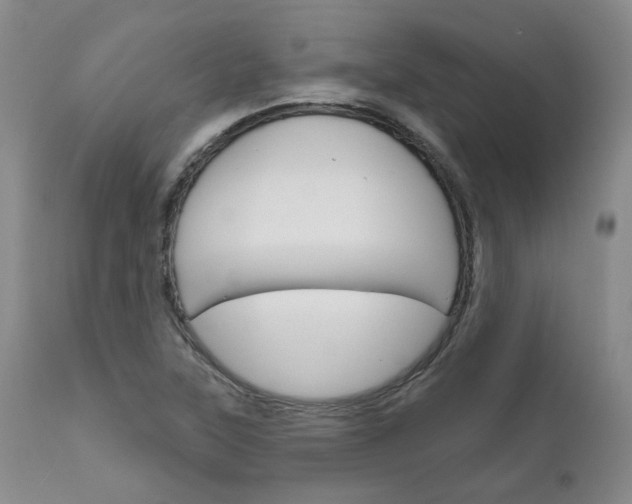 X0000111621315200907171054