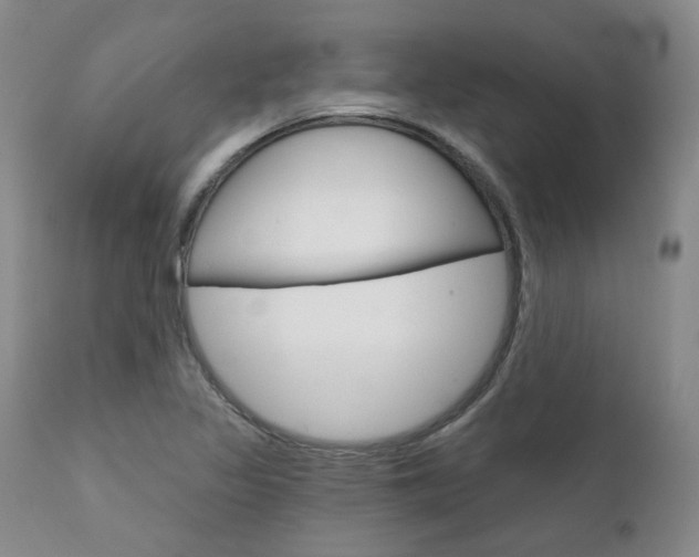 X0000111621317200907171054