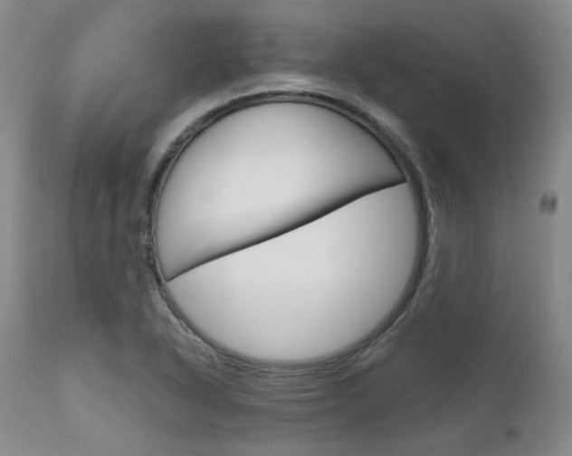 X0000111621318200907171054