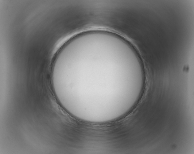 X0000111621319200907171054