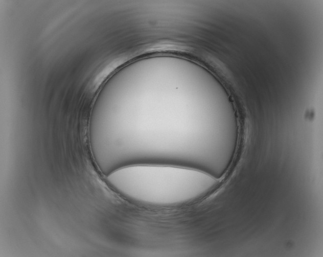 X0000111621321200907171054