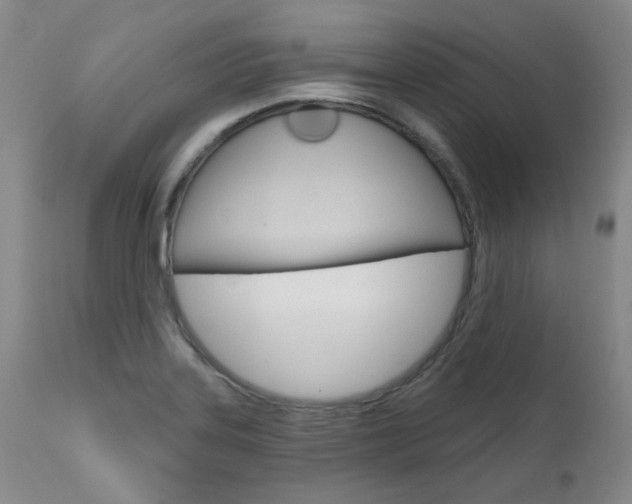 X0000111621323200907171054