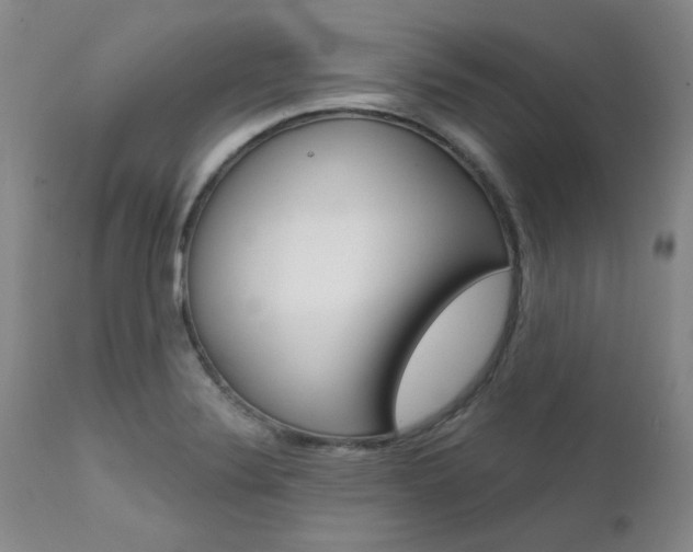 X0000111621324200907171054