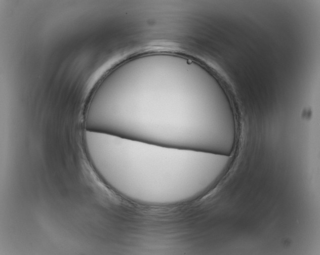 X0000111621325200907171054