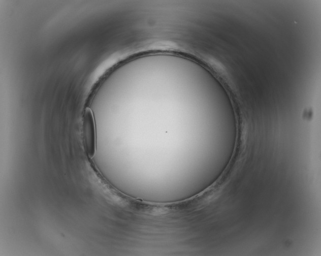 X0000111621326200907171054