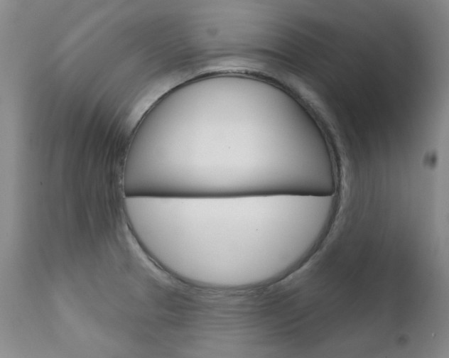 X0000111621329200907171054