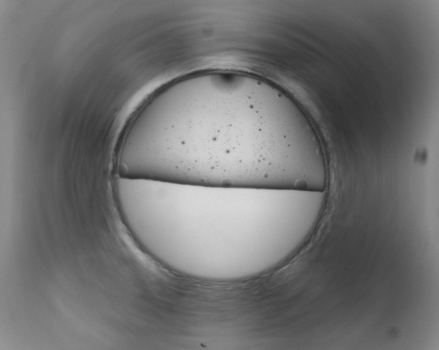 X0000111621331200907171054