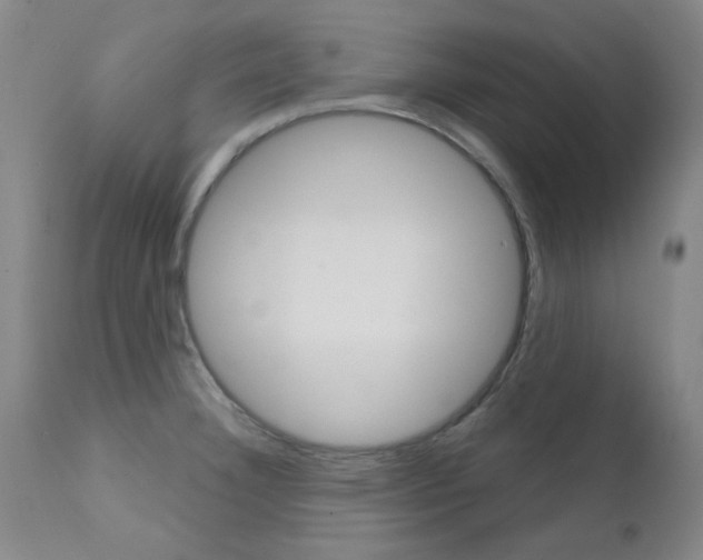 X0000111621332200907171054