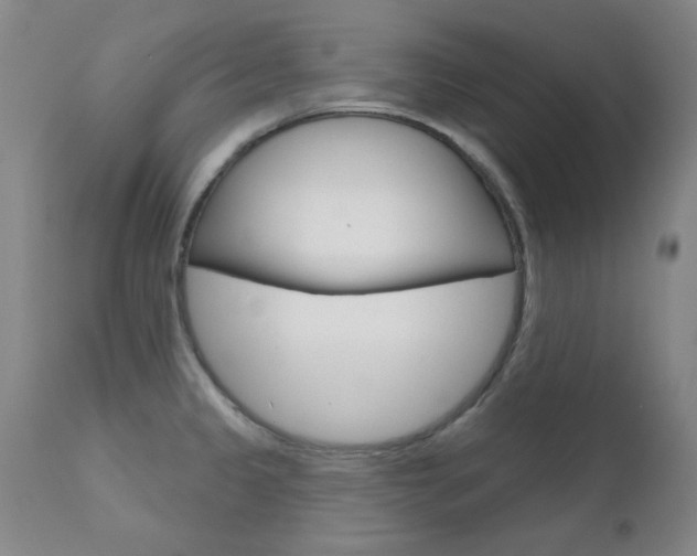 X0000111621333200907171054