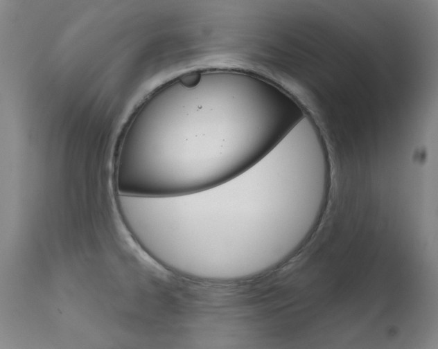 X0000111621334200907171054