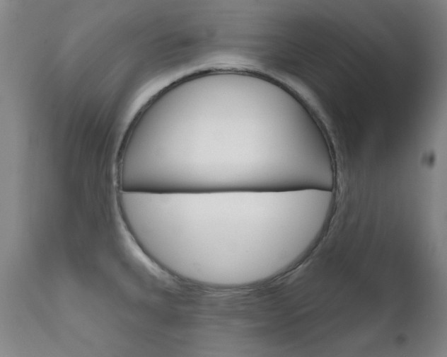 X0000111621335200907171054