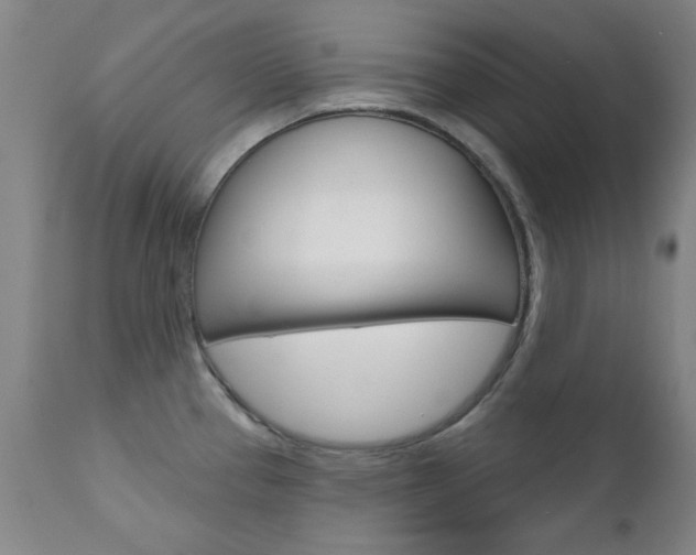 X0000111621337200907171054