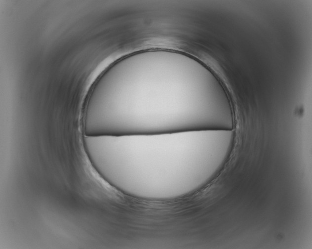 X0000111621339200907171054