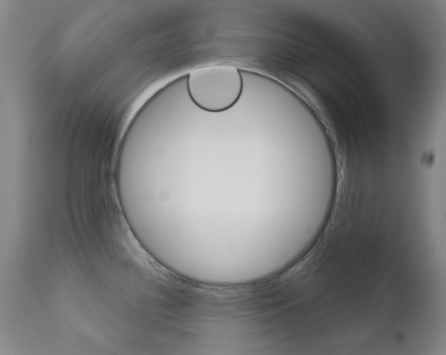 X0000111621340200907171055