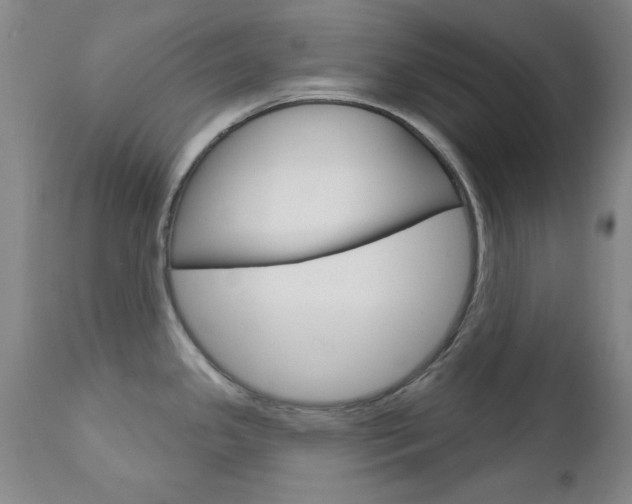 X0000111621341200907171055