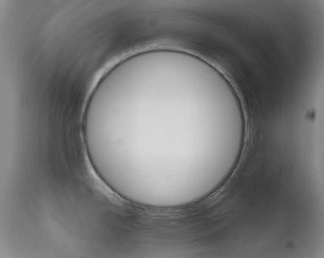 X0000111621342200907171055