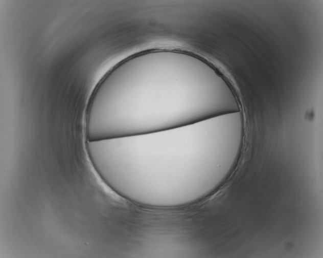 X0000111621343200907171055