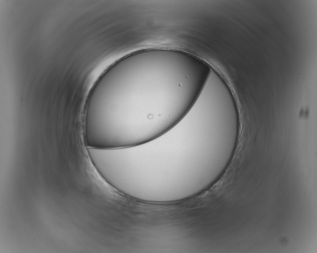 X0000111621344200907171055