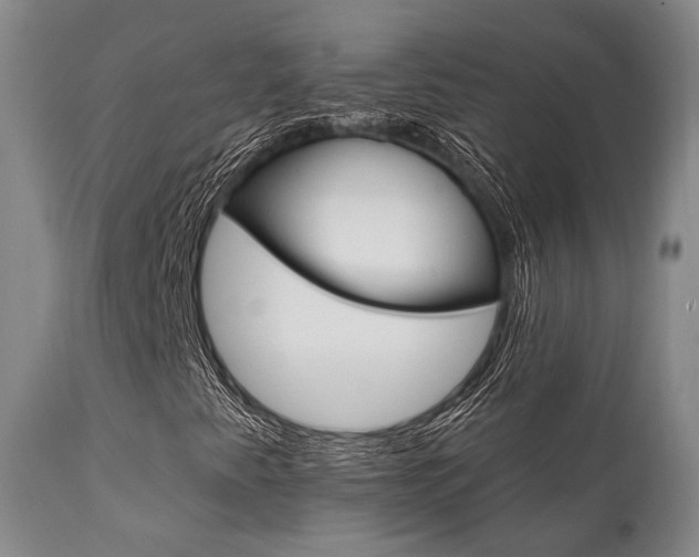 X0000111621345200907171054