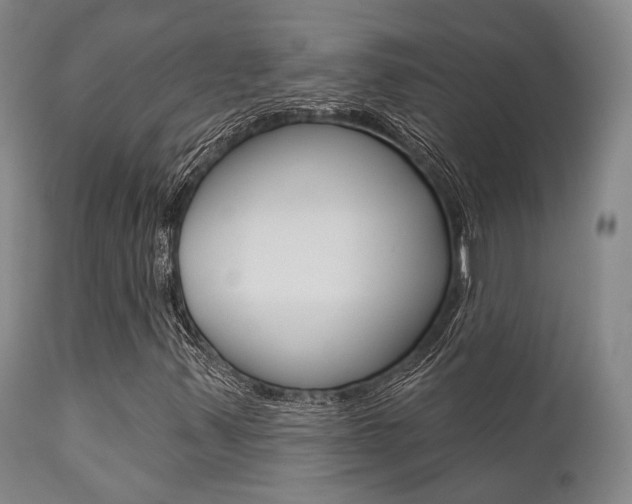 X0000111621347200907171054