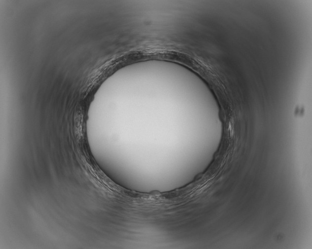 X0000111621348200907171054