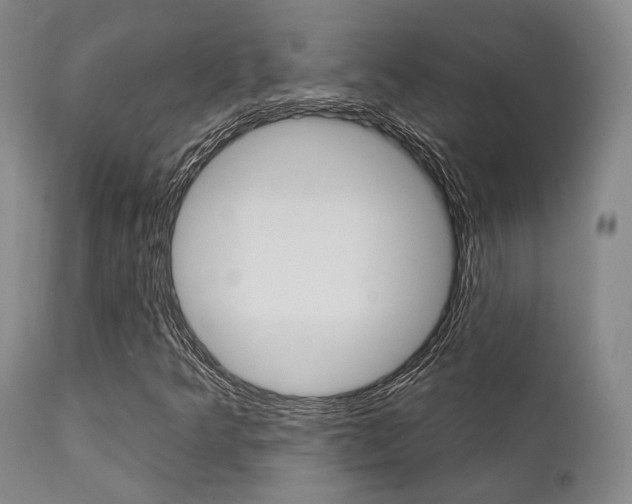 X0000111621349200907171054