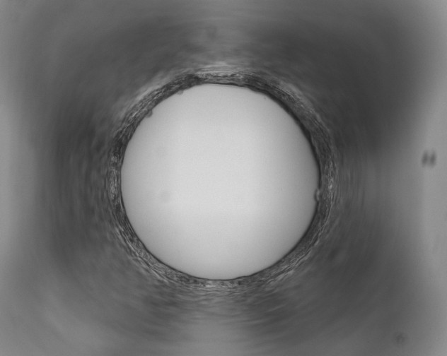 X0000111621350200907171054