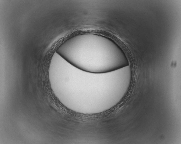 X0000111621351200907171054
