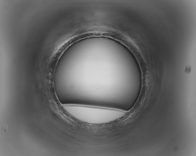 X0000111621352200907171054