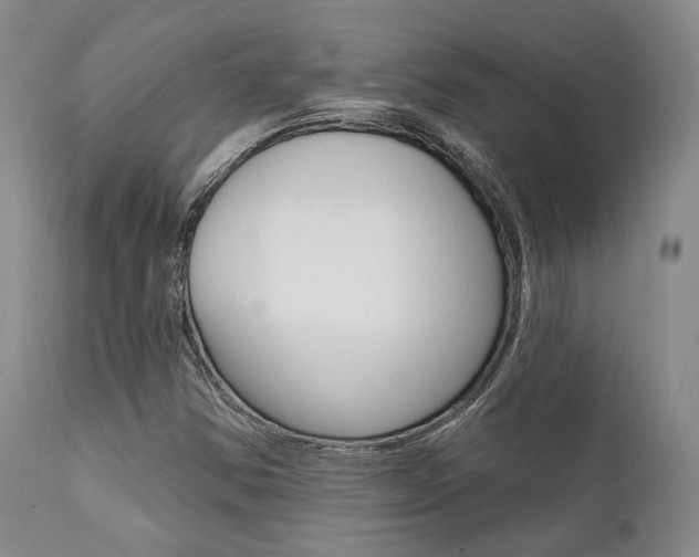 X0000111621354200907171054