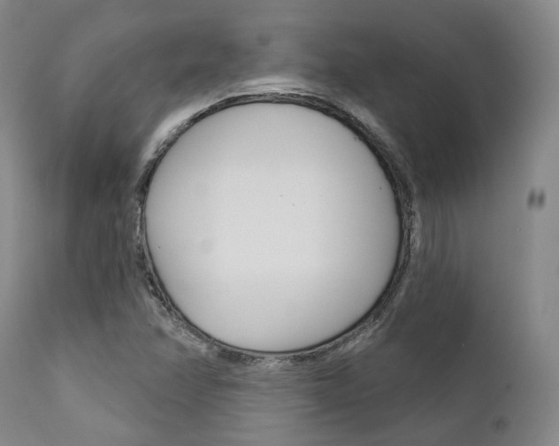 X0000111621358200907171054