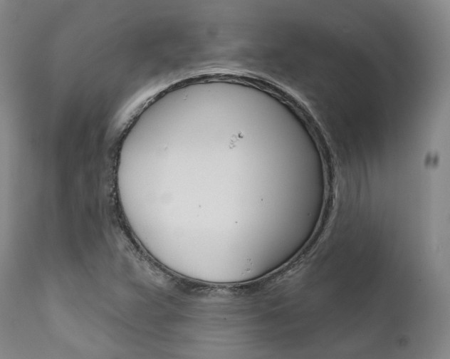 X0000111621359200907171054