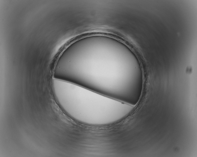 X0000111621360200907171053
