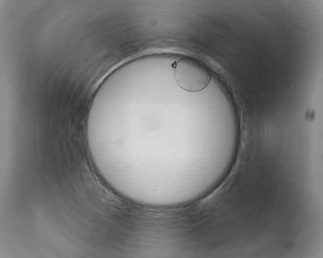 X0000111621361200907171053