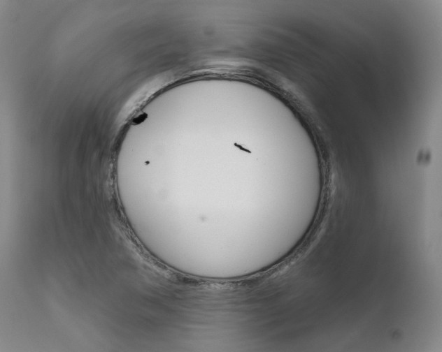 X0000111621362200907171053