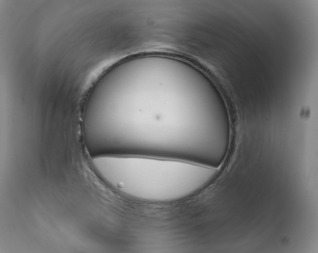 X0000111621363200907171053