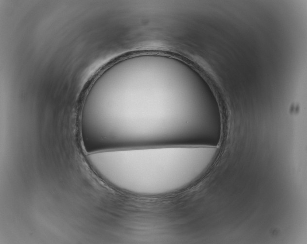 X0000111621364200907171053