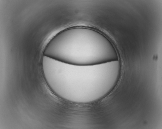 X0000111621367200907171053