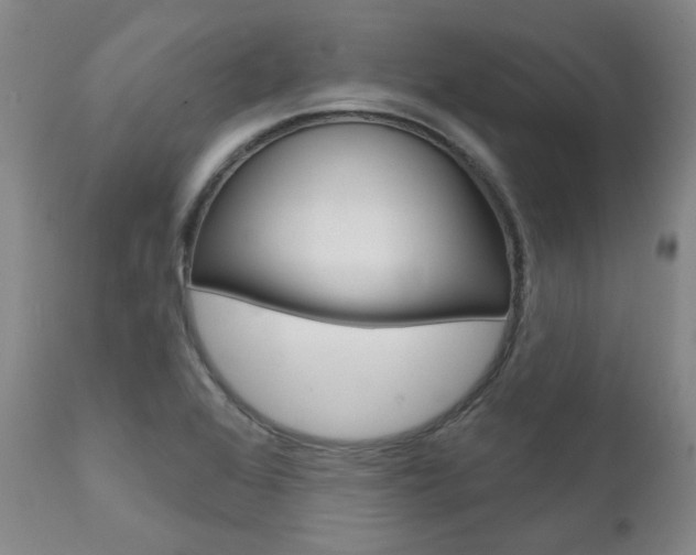 X0000111621368200907171053