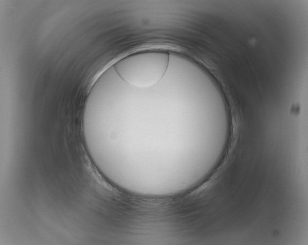 X0000111621369200907171053
