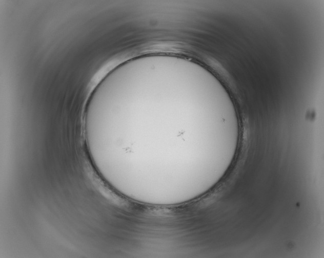 X0000111621370200907171053
