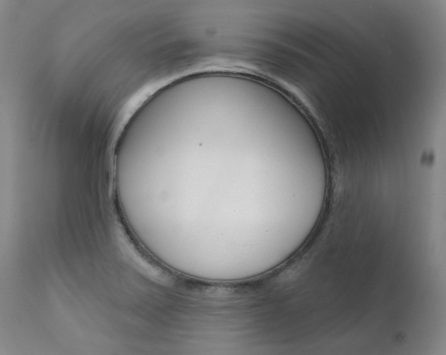 X0000111621371200907171053