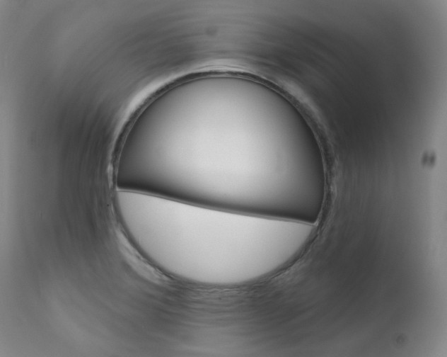 X0000111621372200907171053