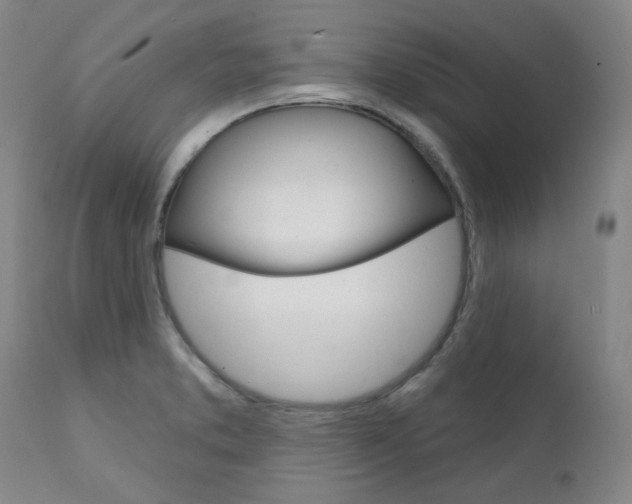 X0000111621373200907171053