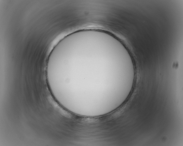 X0000111621374200907171053