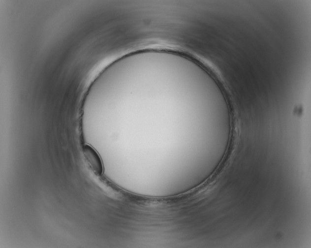 X0000111621375200907171053